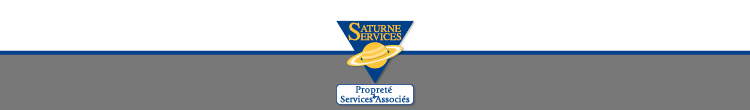 Logo Saturne Services