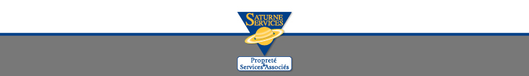 Logo Saturne Services